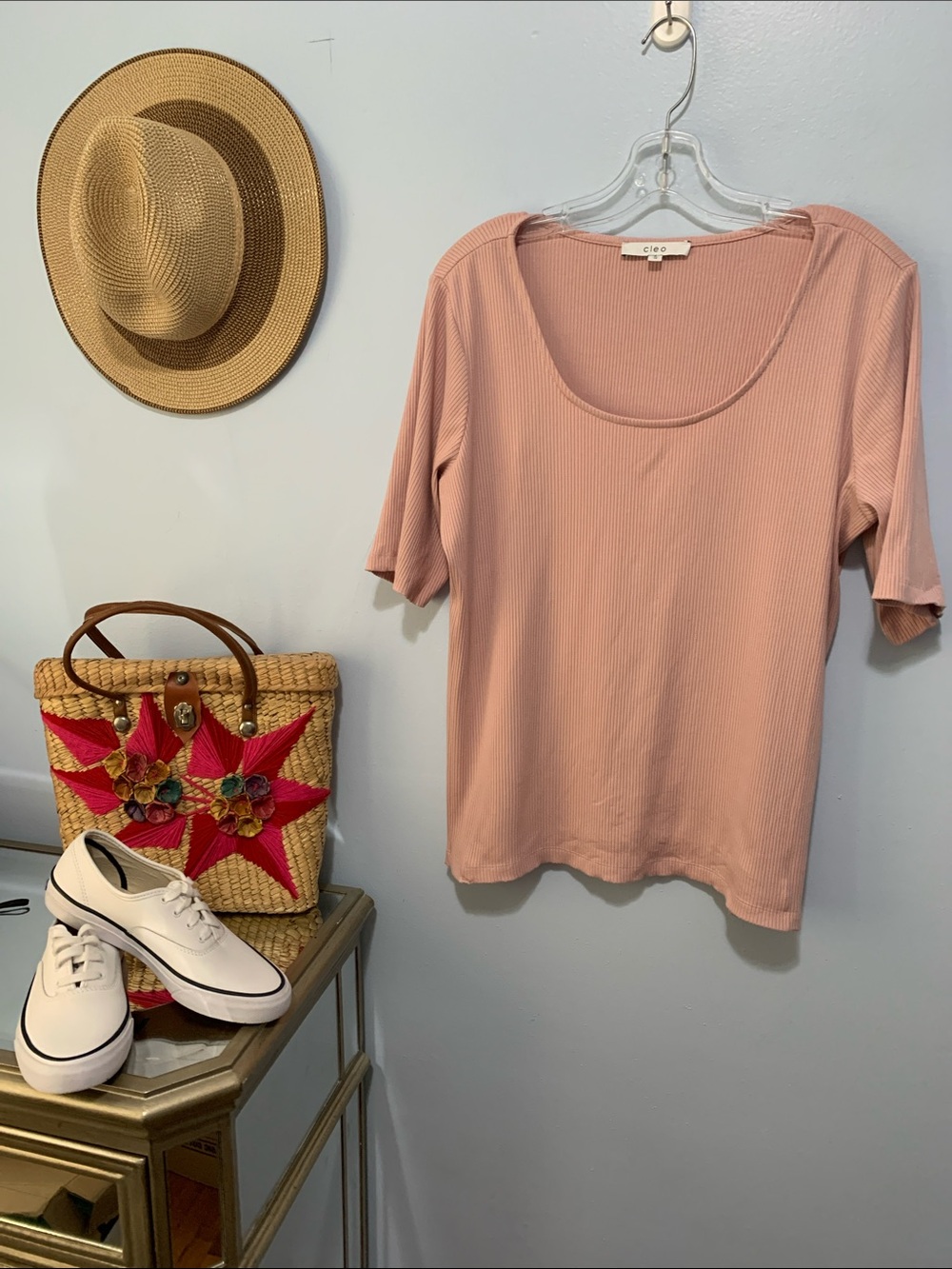 cleo Ribbed Scoop Neck Short Sleeve Top in Blush